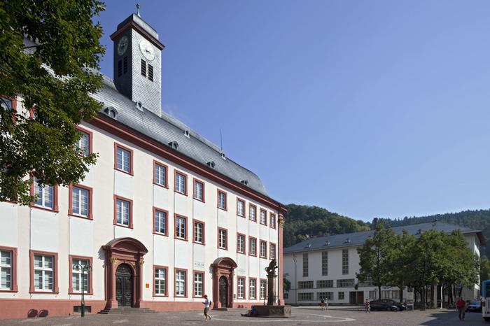 Heidelberg_(c)_Atelier_Altenkirch_Karlsruhe_LowRes